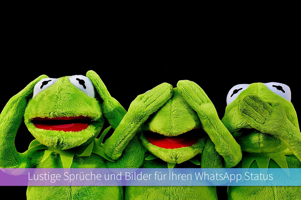 We Have got 30 pic about Lustige Bilder Für Whatsapp Status images, photos,...